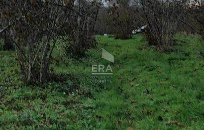 ERA KARAT KARASU TAŞLIGEÇİT KÖY İÇİ'NDE 4,844 M2 SATILIK TARLA