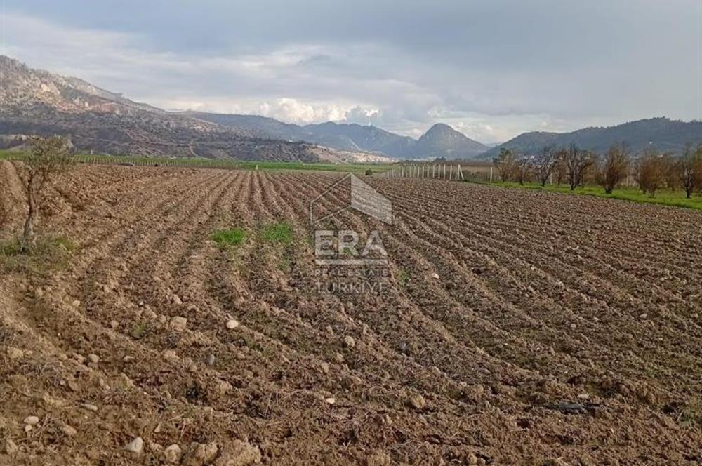 ERA KARAT BİLECİK OSMANELİ SELÇİK KÖYÜNDE 3.211 M2 SATILIK TARLA