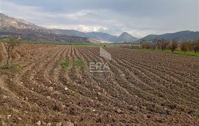 ERA KARAT BİLECİK OSMANELİ SELÇİK KÖYÜNDE 3.211 M2 SATILIK TARLA