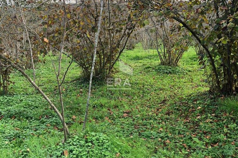 ERA KARAT KARASU TAŞLIGEÇİT KÖY İÇİ'NDE 4,844 M2 SATILIK TARLA