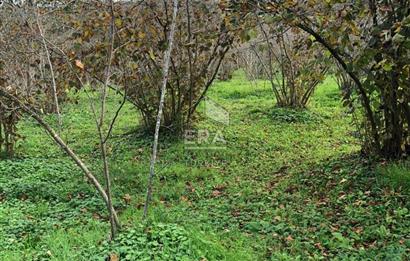 ERA KARAT KARASU TAŞLIGEÇİT KÖY İÇİ'NDE 4,844 M2 SATILIK TARLA