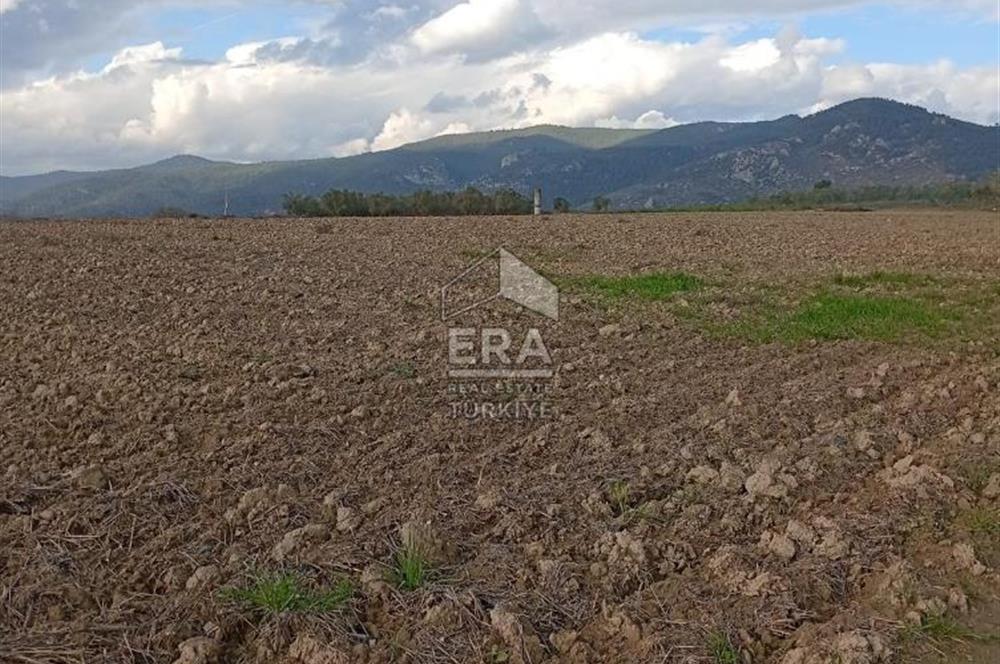 ERA KARAT BİLECİK OSMANELİ SELÇİK KÖYÜNDE 3.211 M2 SATILIK TARLA