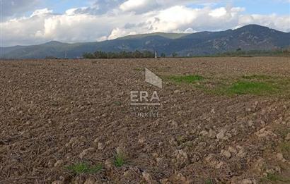 ERA KARAT BİLECİK OSMANELİ SELÇİK KÖYÜNDE 3.211 M2 SATILIK TARLA