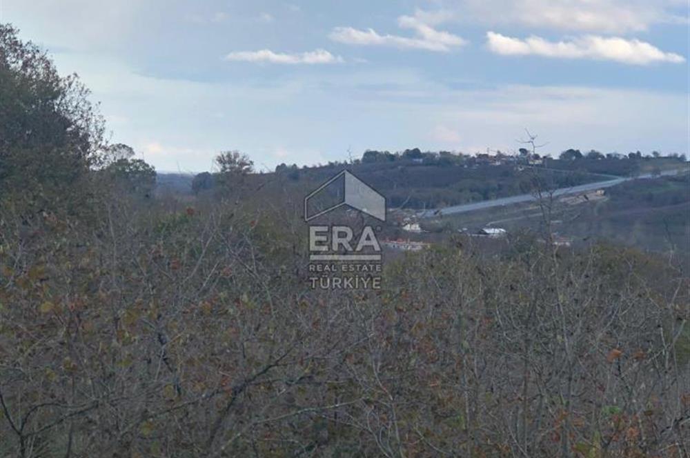 ERA KARAT KARASU TAŞLIGEÇİT KÖY İÇİ'NDE 4,844 M2 SATILIK TARLA