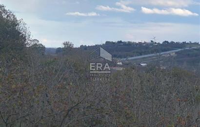 ERA KARAT KARASU TAŞLIGEÇİT KÖY İÇİ'NDE 4,844 M2 SATILIK TARLA