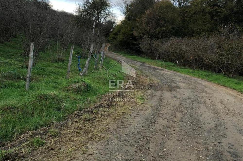 ERA KARAT KARASU TAŞLIGEÇİT KÖY İÇİ'NDE 4,844 M2 SATILIK TARLA