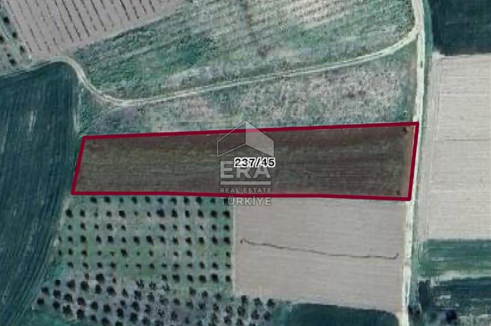 ERA KARAT BİLECİK OSMANELİ SELÇİK KÖYÜNDE 3.211 M2 SATILIK TARLA