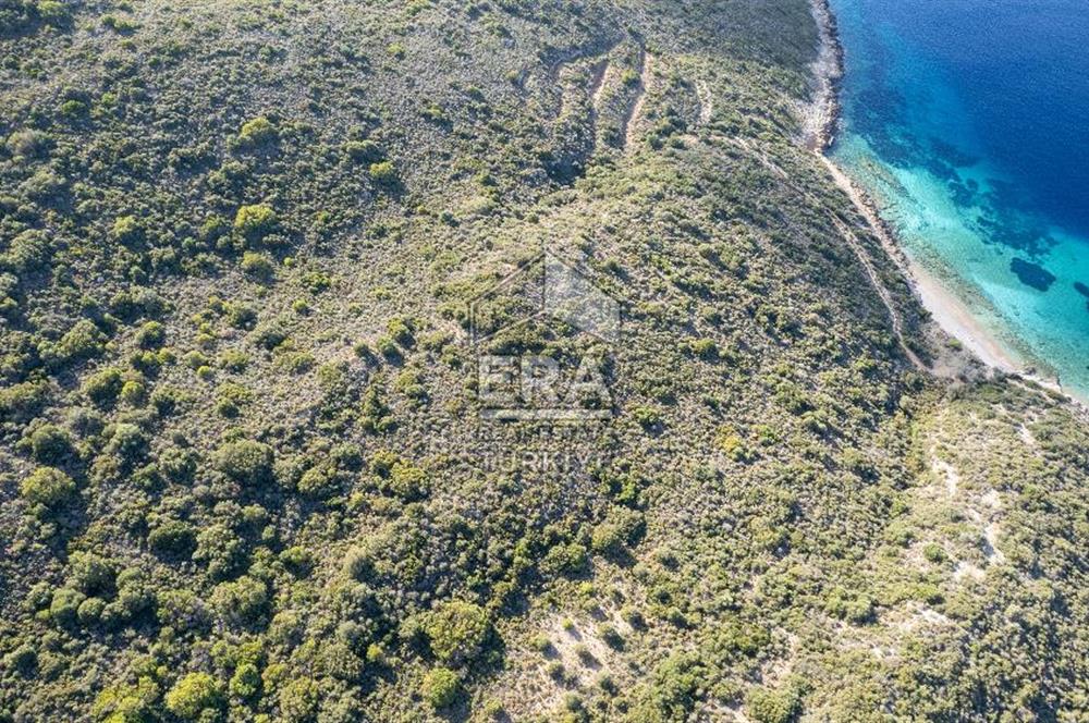 Datça Cumalı Bükceğizde Satılık 2.767m² Deniz Manzaralı Tarla