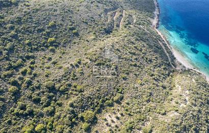 Datça Cumalı Bükceğizde Satılık 2.767m² Deniz Manzaralı Tarla