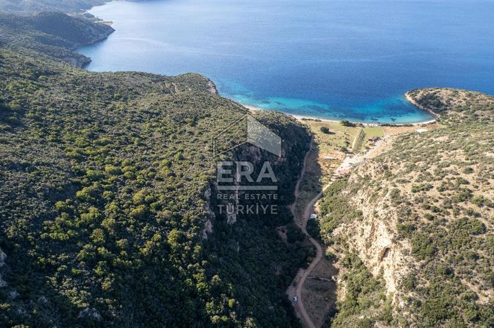 Datça Cumalı Bükceğizde Satılık 2.767m² Deniz Manzaralı Tarla