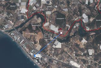 ANTALYA MANAVGAT BOZTEPE MAHALLESİ SATILIK TARLA - 7 - 14114