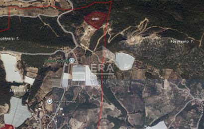 ANTALYA MANAVGAT ÖRENŞEHİR MAHALLESİ SATILIK TARLA