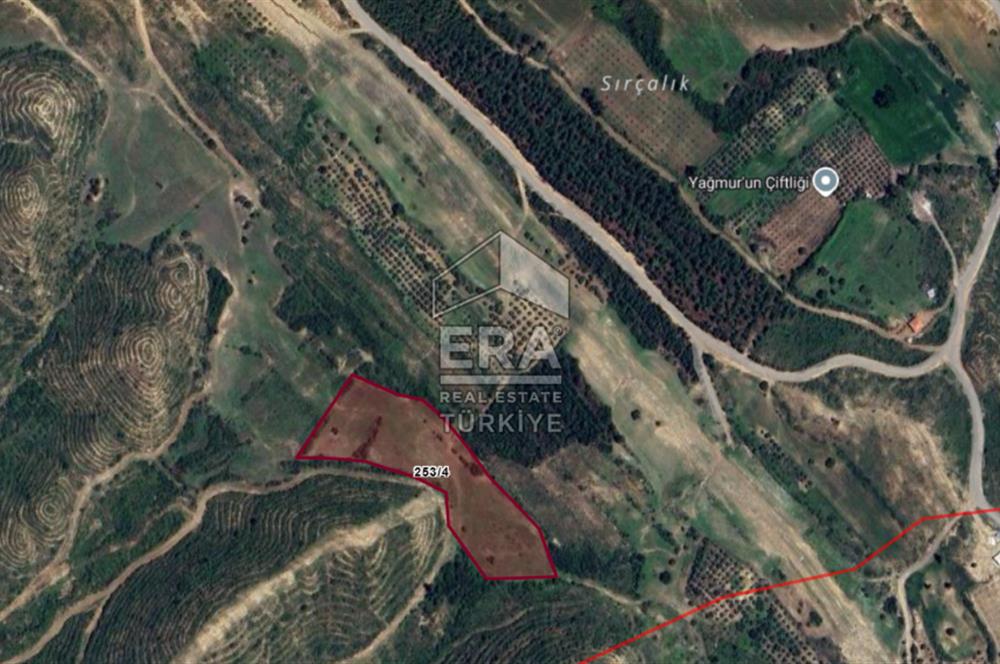 ANTALYA MANAVGAT TAŞAĞIL ÇARDAK MAHALLESİ SATILIK TEK TAPU TARLA