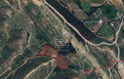 ANTALYA MANAVGAT TAŞAĞIL ÇARDAK MAHALLESİ SATILIK TEK TAPU TARLA