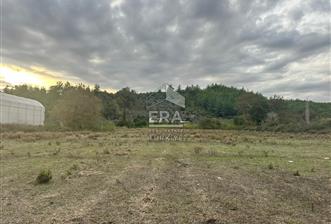 ANTALYA MANAVGAT ÖRENŞEHİR MAHALLESİ SATILIK TARLA - 8 - 14118