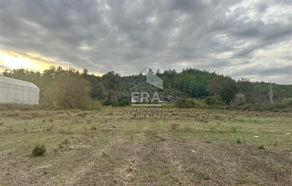 ANTALYA MANAVGAT ÖRENŞEHİR MAHALLESİ SATILIK TARLA