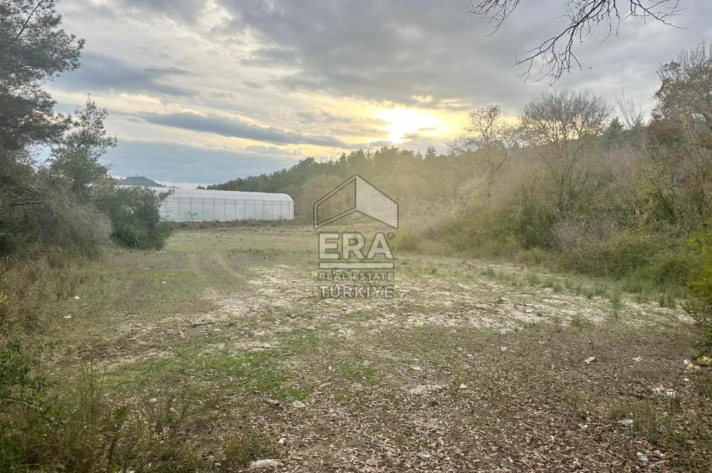 ANTALYA MANAVGAT ÖRENŞEHİR MAHALLESİ SATILIK TARLA