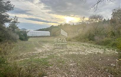 ANTALYA MANAVGAT ÖRENŞEHİR MAHALLESİ SATILIK TARLA