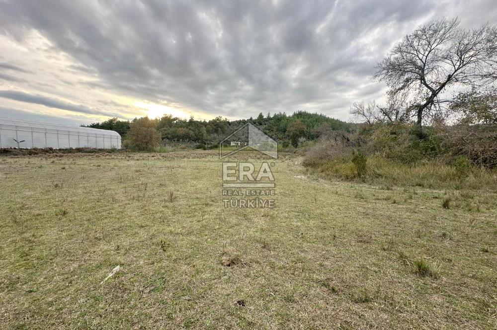 ANTALYA MANAVGAT ÖRENŞEHİR MAHALLESİ SATILIK TARLA