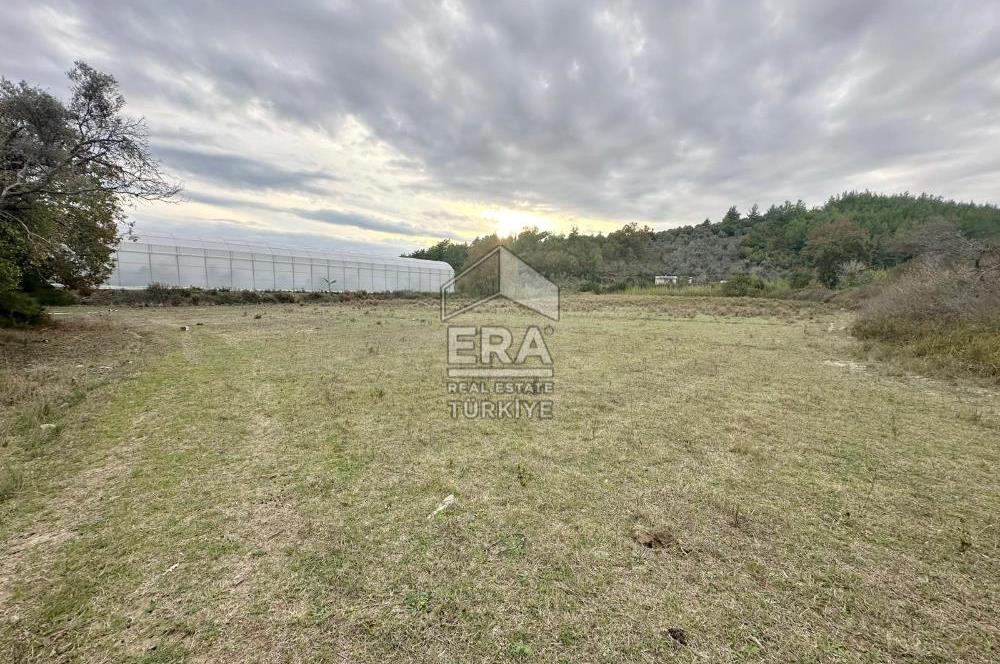 ANTALYA MANAVGAT ÖRENŞEHİR MAHALLESİ SATILIK TARLA