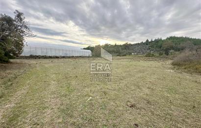 ANTALYA MANAVGAT ÖRENŞEHİR MAHALLESİ SATILIK TARLA