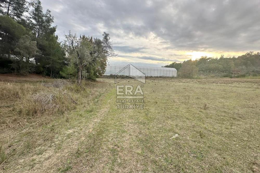 ANTALYA MANAVGAT ÖRENŞEHİR MAHALLESİ SATILIK TARLA