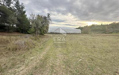 ANTALYA MANAVGAT ÖRENŞEHİR MAHALLESİ SATILIK TARLA