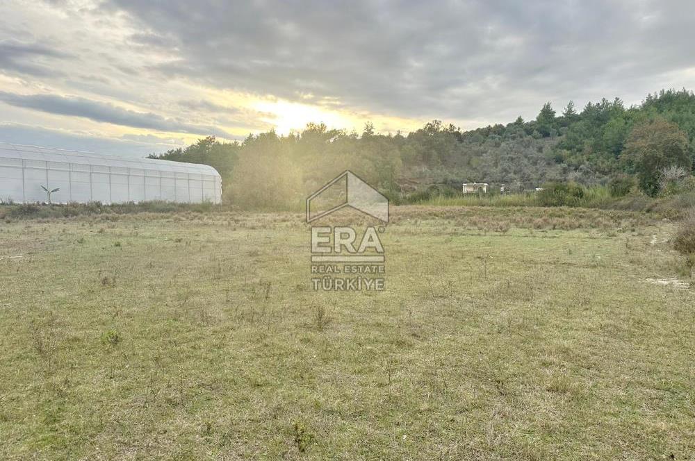 ANTALYA MANAVGAT ÖRENŞEHİR MAHALLESİ SATILIK TARLA