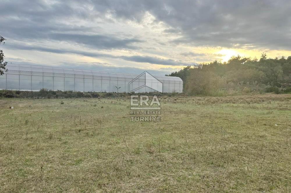 ANTALYA MANAVGAT ÖRENŞEHİR MAHALLESİ SATILIK TARLA