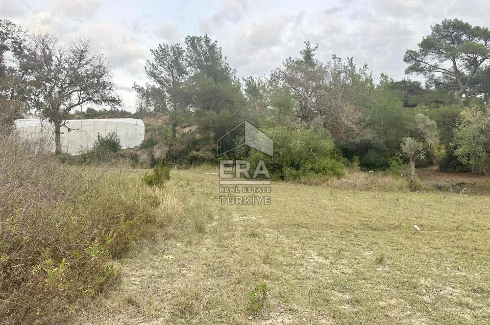 ANTALYA MANAVGAT ÖRENŞEHİR MAHALLESİ SATILIK TARLA