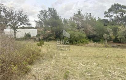 ANTALYA MANAVGAT ÖRENŞEHİR MAHALLESİ SATILIK TARLA