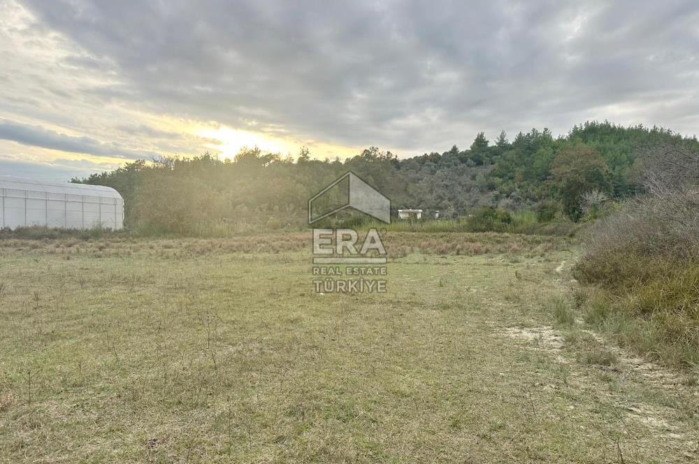 ANTALYA MANAVGAT ÖRENŞEHİR MAHALLESİ SATILIK TARLA