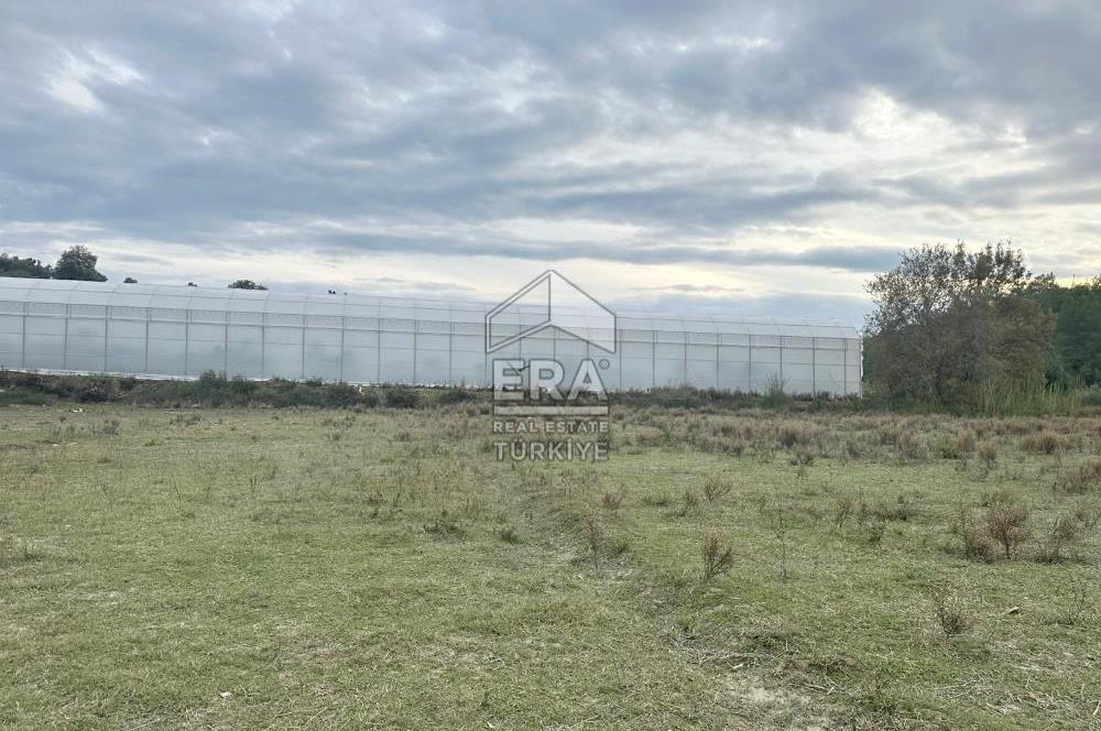 ANTALYA MANAVGAT ÖRENŞEHİR MAHALLESİ SATILIK TARLA