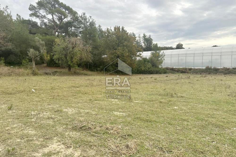 ANTALYA MANAVGAT ÖRENŞEHİR MAHALLESİ SATILIK TARLA