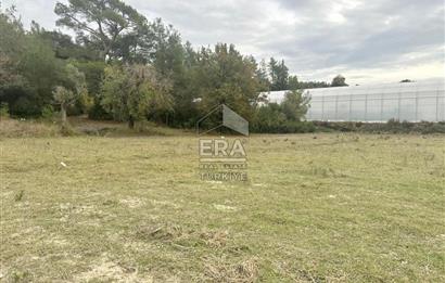 ANTALYA MANAVGAT ÖRENŞEHİR MAHALLESİ SATILIK TARLA