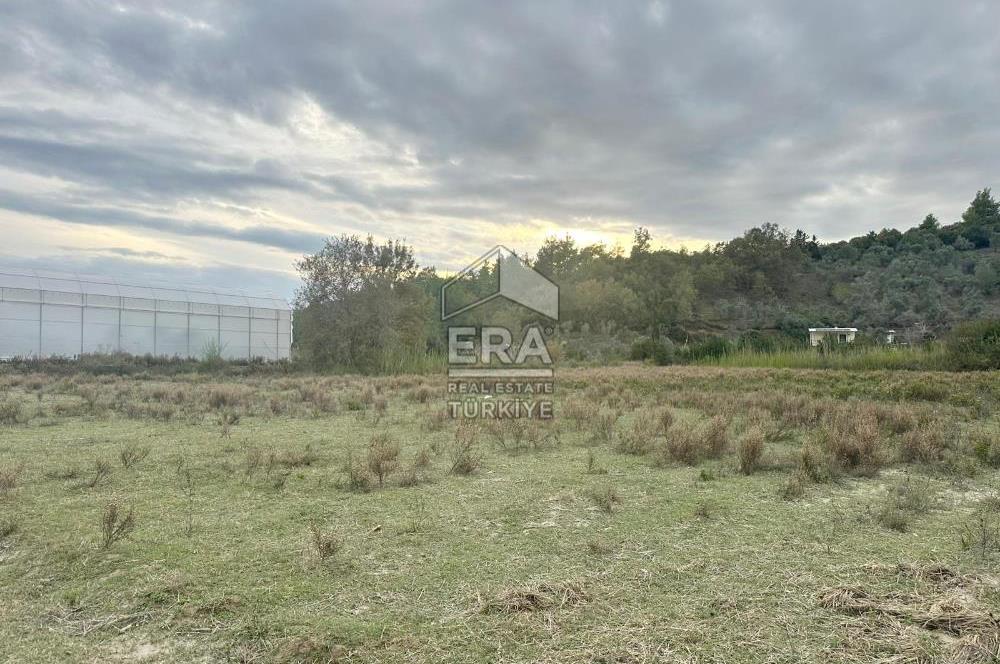 ANTALYA MANAVGAT ÖRENŞEHİR MAHALLESİ SATILIK TARLA