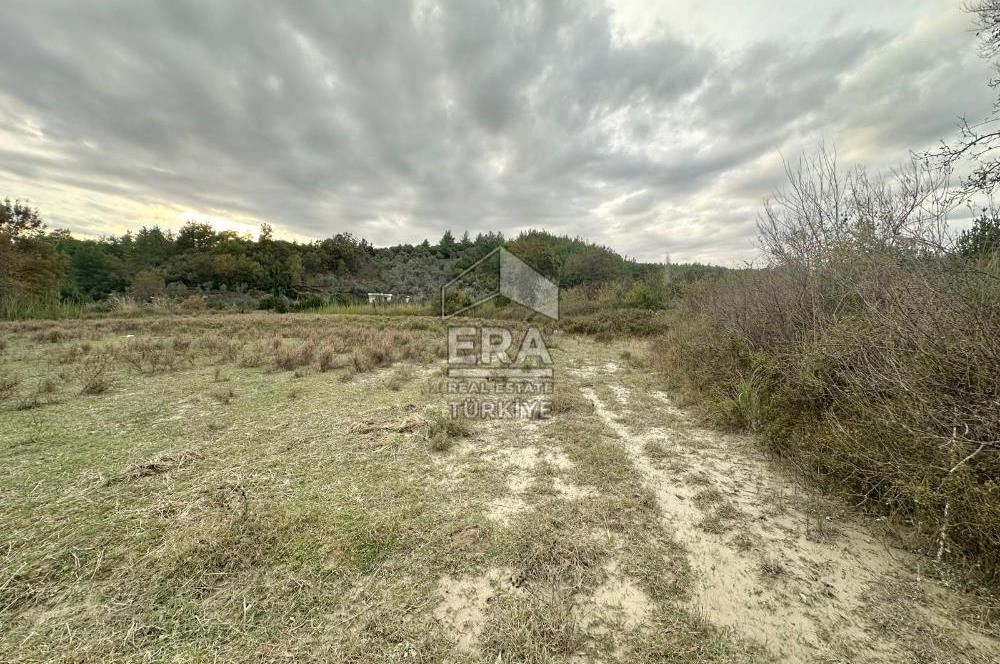 ANTALYA MANAVGAT ÖRENŞEHİR MAHALLESİ SATILIK TARLA