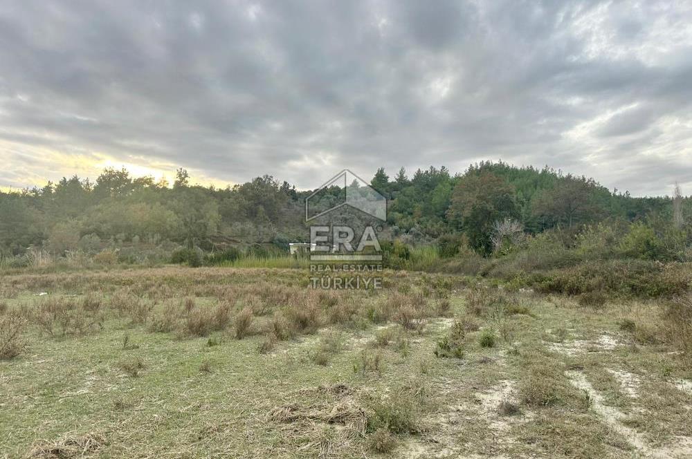 ANTALYA MANAVGAT ÖRENŞEHİR MAHALLESİ SATILIK TARLA