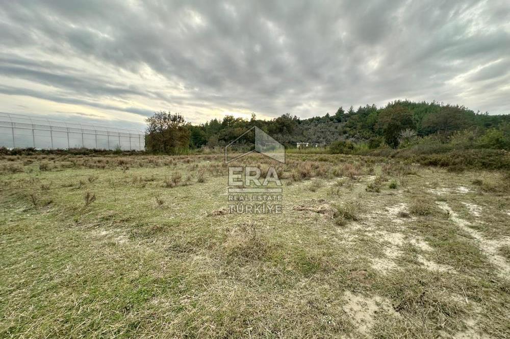 ANTALYA MANAVGAT ÖRENŞEHİR MAHALLESİ SATILIK TARLA