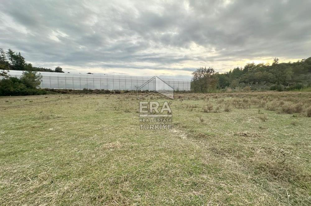 ANTALYA MANAVGAT ÖRENŞEHİR MAHALLESİ SATILIK TARLA