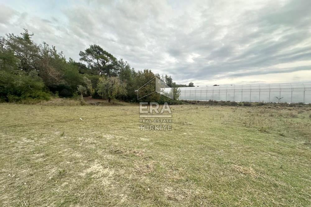 ANTALYA MANAVGAT ÖRENŞEHİR MAHALLESİ SATILIK TARLA