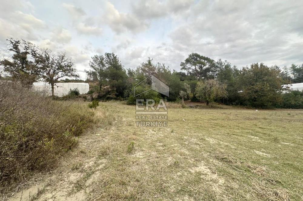 ANTALYA MANAVGAT ÖRENŞEHİR MAHALLESİ SATILIK TARLA