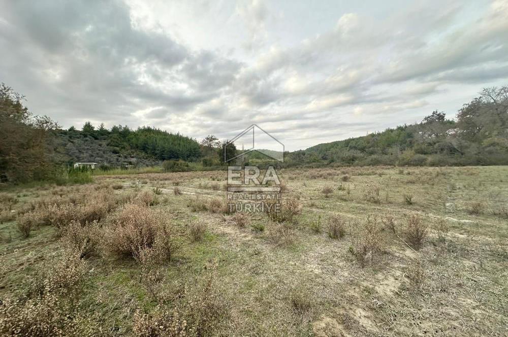 ANTALYA MANAVGAT ÖRENŞEHİR MAHALLESİ SATILIK TARLA