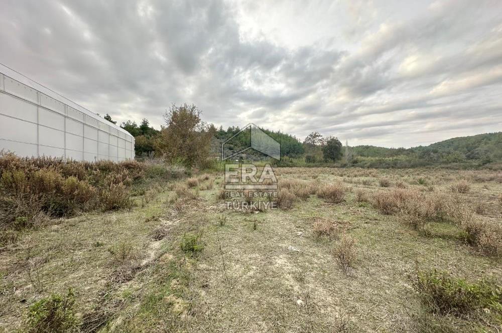 ANTALYA MANAVGAT ÖRENŞEHİR MAHALLESİ SATILIK TARLA