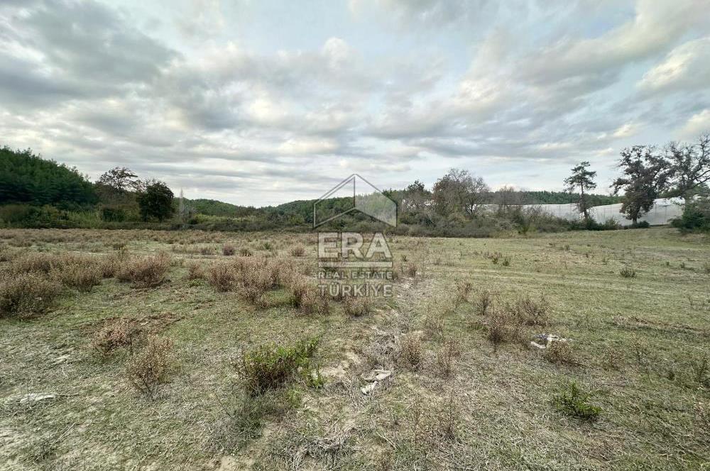 ANTALYA MANAVGAT ÖRENŞEHİR MAHALLESİ SATILIK TARLA