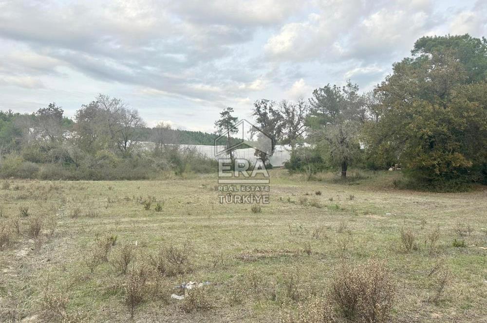 ANTALYA MANAVGAT ÖRENŞEHİR MAHALLESİ SATILIK TARLA