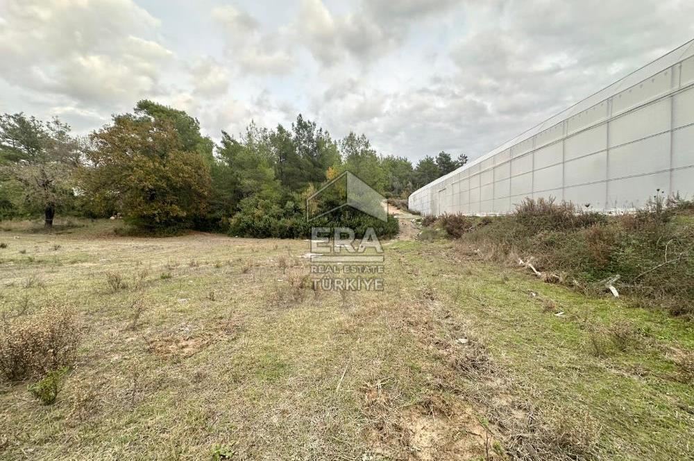 ANTALYA MANAVGAT ÖRENŞEHİR MAHALLESİ SATILIK TARLA