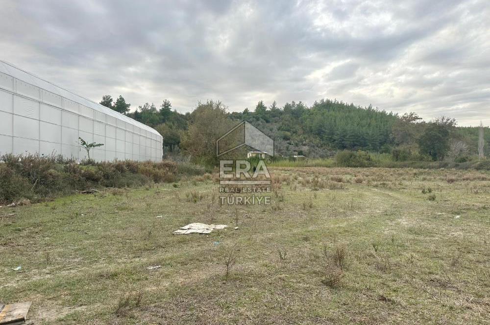 ANTALYA MANAVGAT ÖRENŞEHİR MAHALLESİ SATILIK TARLA