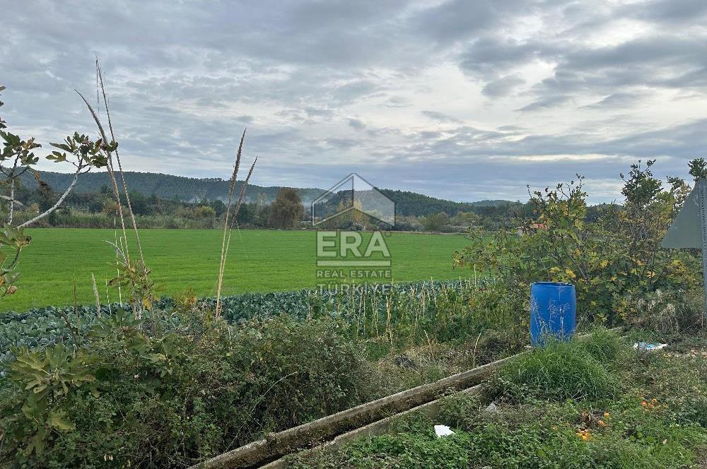 ANTALYA MANAVGAT ODAÖNÜ MAHALLESİ SATILIK TARLA