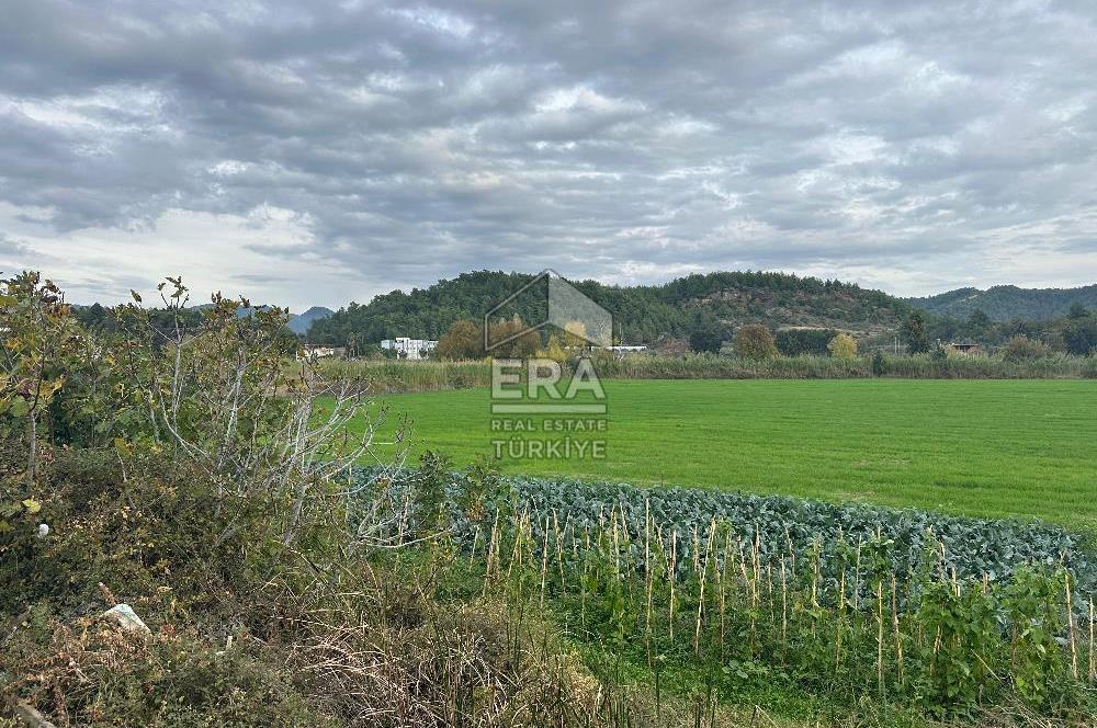 ANTALYA MANAVGAT ODAÖNÜ MAHALLESİ SATILIK TARLA
